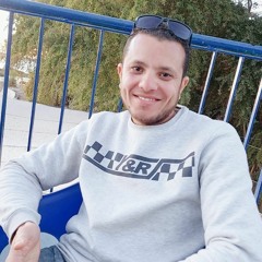 Ahmed Hefny Khelisy