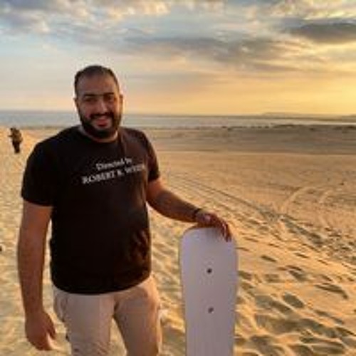 Mahmoud Melegy’s avatar