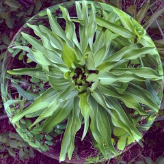 Theft Mostly Records