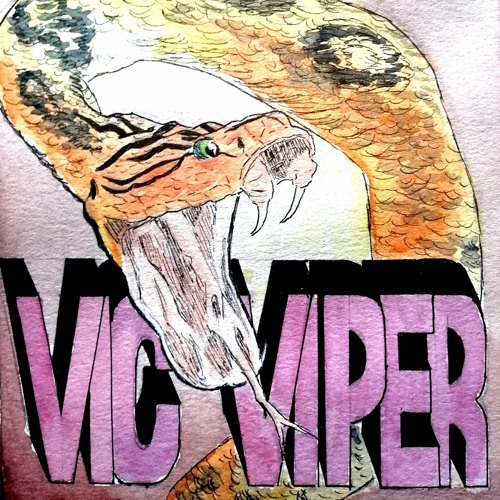 vic viper