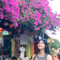Thu Hường