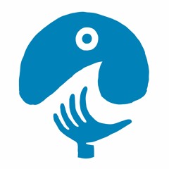 Surfers For Climate Audio