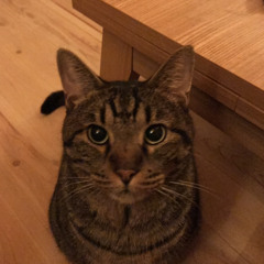 Takamasa Strange Ushiro