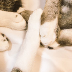 as