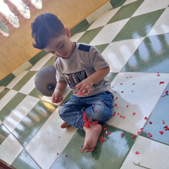 Hagar Shams