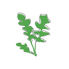 arugula