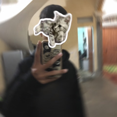 ZenosMH