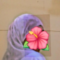 SHI_NY🌸
