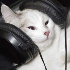 MEOW