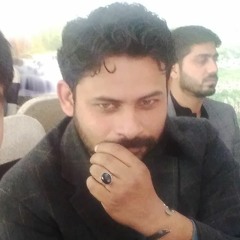 Ali Shahnawaz