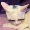 tionne_tero