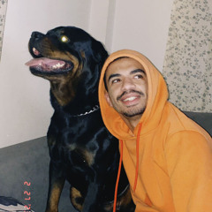 hamedamr