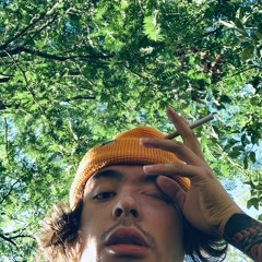 vamp.wav808