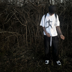 xsimm