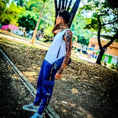 Stiven Walter 🪼