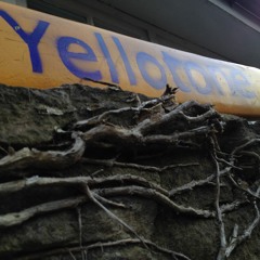 yellotone