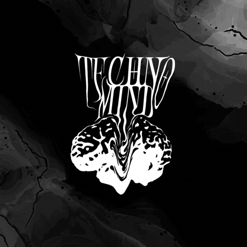 TechnoMind Records — artist photo