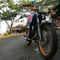 valvoline