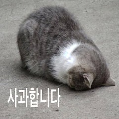 auk