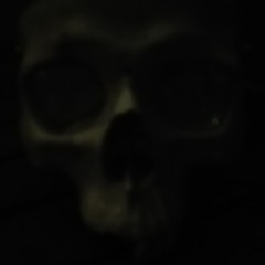 ridmt