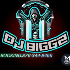 DJ BIGGZ