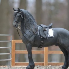 Horselover Lexi