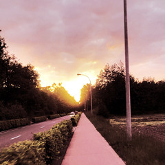 Nicolai van den Boom