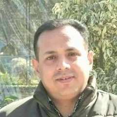 Waseem Nashat