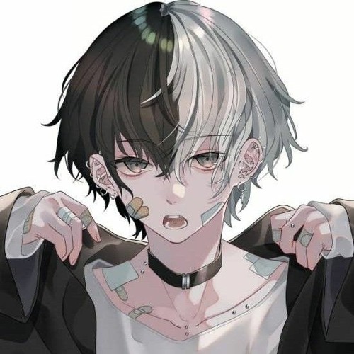 falsh’s avatar