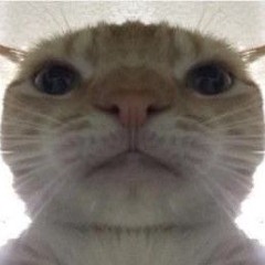 BotKelvin