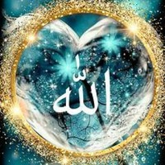 منال شوقي