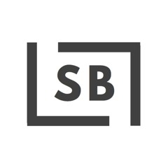 steveBee