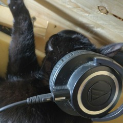 cat pro