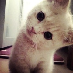emochkaaa