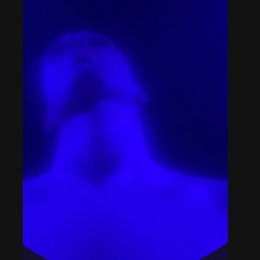 B1M9_