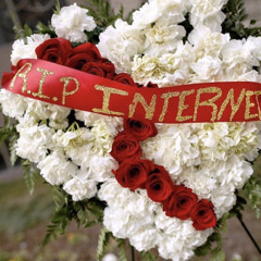 Because The Internet