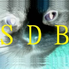 SDB024