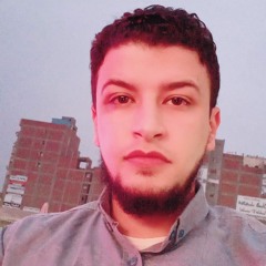 Mohsen Reda 1