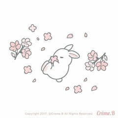 Toki🐇