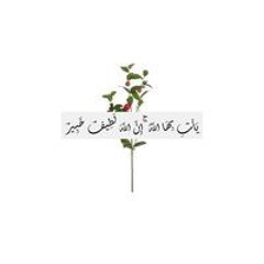 Faten Abdelghany