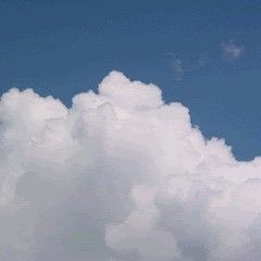 정