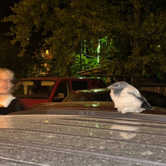 WHERE FUCKING WTFWTFWTFWTFWTFWTFWTFWTF