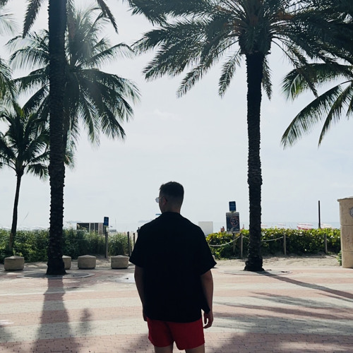 Stream Ludovic Pirard Music Listen To Songs Albums Playlists For