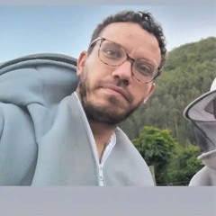 Thiago A. Ollé