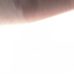 🫁