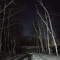 Maratov
