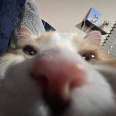 Rtxrmx