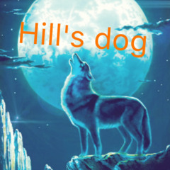 Hill's dog