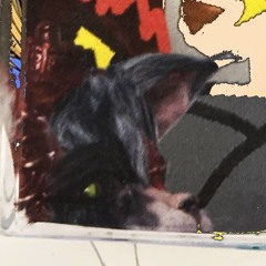 CuntSniffer
