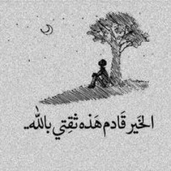 بالقرآن اهتديت